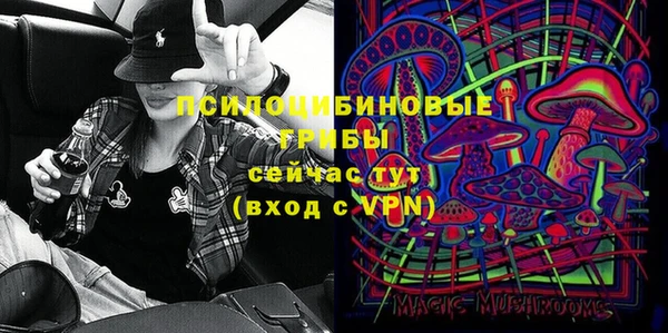 PSILOCYBIN Алзамай