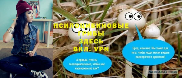 молекула духа Алексеевка
