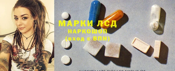 PSILOCYBIN Алзамай