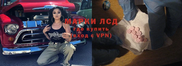 PSILOCYBIN Алзамай
